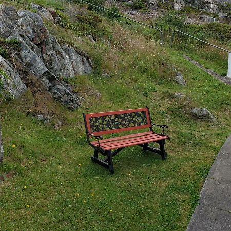 Hillside Cottage 1 Twillingate Buitenkant foto
